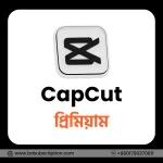 CapCut Pro Subscription Price in Bangladesh