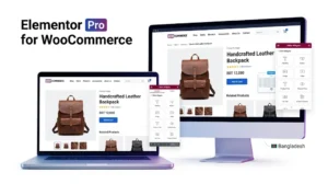 Elementor Pro Plugin Price in Bangladesh 2 Elementor Pro WooCommerce website builder in Bangladesh